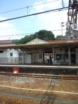 39529-1.jpg