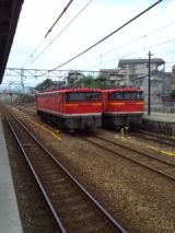 39531-2.jpg