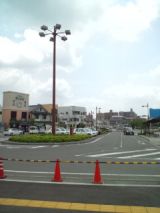 39531-6.jpg