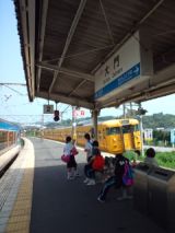 39535-4.jpg