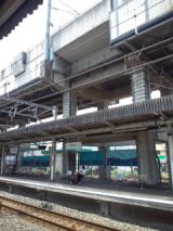 39536-3.jpg