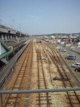 39536-6.jpg