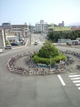 39536-7.jpg