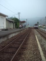 39538-1.jpg
