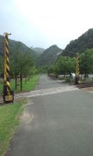 39542.jpg
