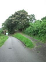39563-5.jpg