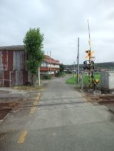 39564-5.jpg