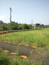 39569-4.jpg
