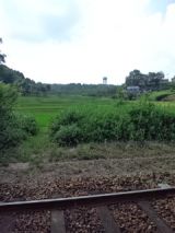 39571.jpg