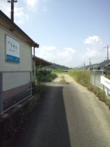 39573-5.jpg