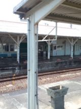 39576.jpg