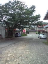 39584-6.jpg