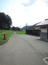 39587-5.jpg