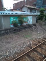39595-6.jpg