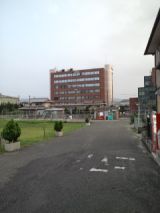 39595.jpg