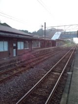 39612-2.jpg