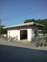 39616-4.jpg