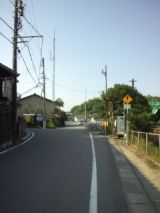 39616-7.jpg