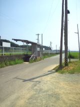 39623-3.jpg