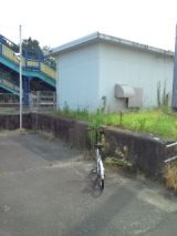 39639-5.jpg