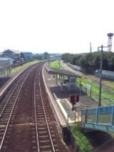 39643-3.jpg