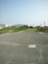 39645-5.jpg