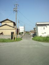 39645-6.jpg