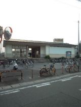 39648-4.jpg
