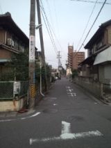 39648-7.jpg