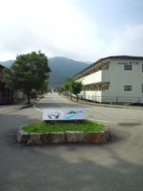 39664-5.jpg