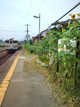 39670-9.jpg