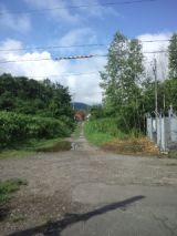 39760-1.jpg