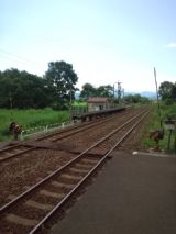 39766-1.jpg