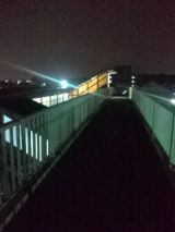 39789-4.jpg