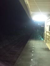 39790-4.jpg