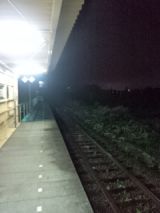 39790-5.jpg
