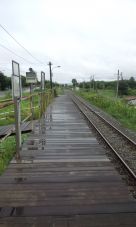 39801-7.jpg