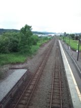 39806-6.jpg