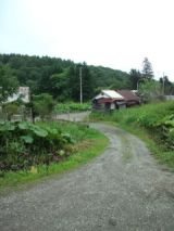 39820-8.jpg