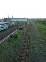 39826-6.jpg