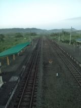39829-2.jpg