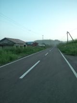39831-3.jpg