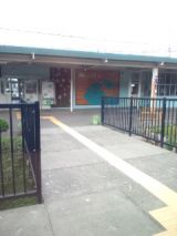 39846-2.jpg