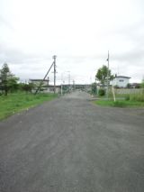 39847-5.jpg