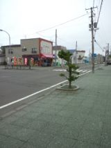 39852-4.jpg