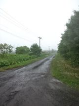 39864-6.jpg