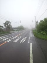 39871-7.jpg