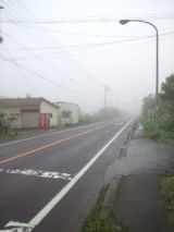 39871-8.jpg