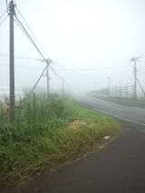 39880-1.jpg