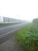 39880-2.jpg